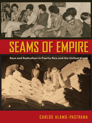 cover image of Seams of Empire
